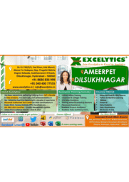 Excelytics