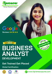 Business Analyst
