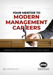 IMS IPM BBA Brochure