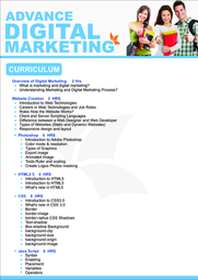 advanced digital marketing