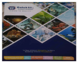 Catch 25 Brochure
