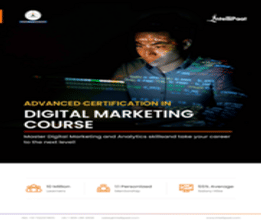 Digital Marketing Brochure