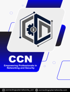 Connecting Cyber Networks