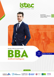 BBA - ISTEC - 15 Months - AI