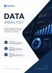 Data Analyst Brochure