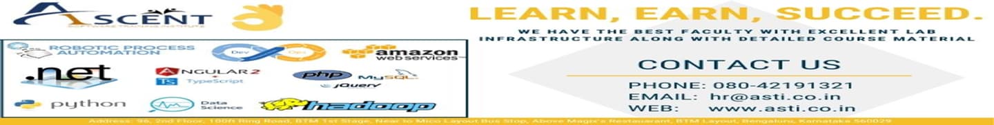 Ascent Software Training Institute