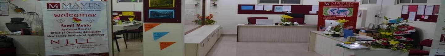 Maven Consulting Services