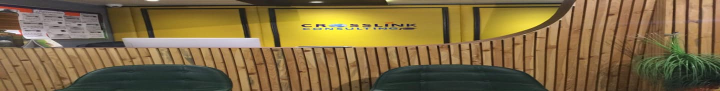 Crosslink Education Consulting