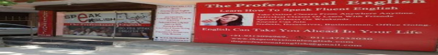 The Professional English Institute
