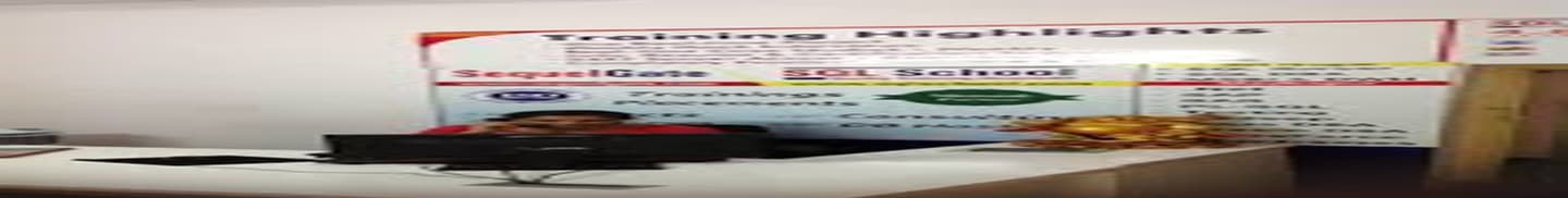 SQL School Training Institute