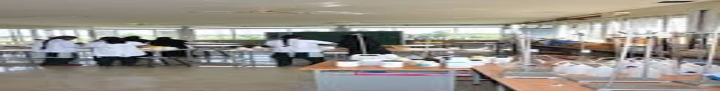 Golden PU College