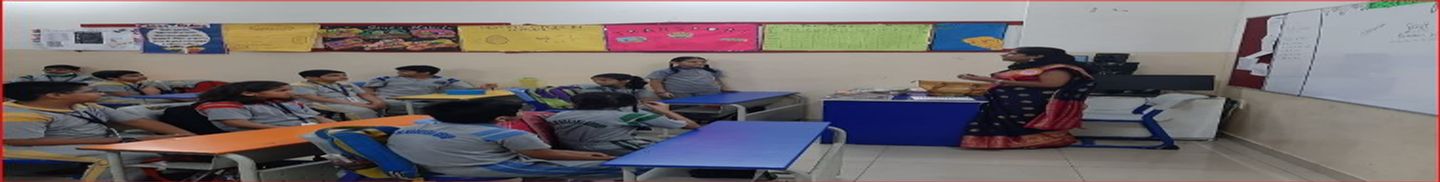 Zenith Language Institute
