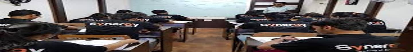 Synergy Academy of Science