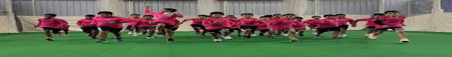 Daniels Cricket Academy