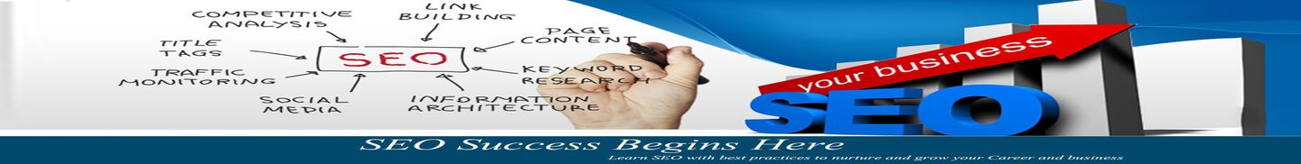 SEO Training in Delhi