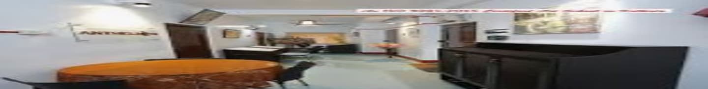 Anthelion School of Art