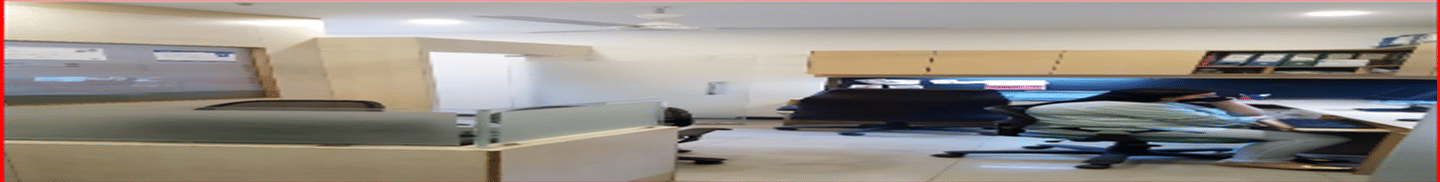 Skyline Visa & Travel Management Private Limited