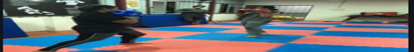 Combat Kinetics Porur