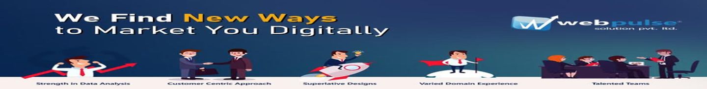Webpulse Solution Pvt Ltd