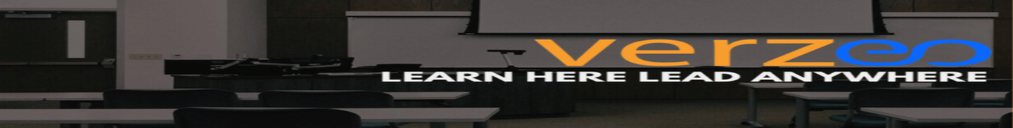 Verzeo Institute