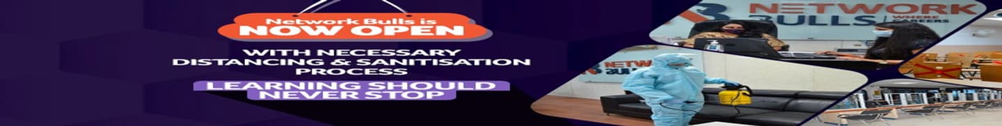 Network Bulls Gurgaon