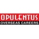 OPULENTUS – THE VISA COMPANY