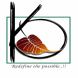 KAUSTUBH ACADEMY