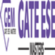 GATE ESE MASTERS