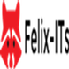 Felix-ITs Academy