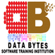 Databytes Software Training Institute : BTM