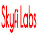 Skyfi Labs Summer Training Program