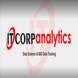 IT Corp Analytics