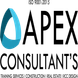 Apex Consultancy
