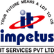 Impetus IT Services