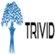 Trivid Technologies