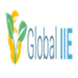 Global IIE