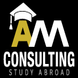 AM CONSULTING