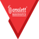 Amulett Educational Services Pvt Ltd