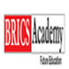 BRICS Academy