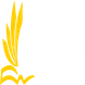 D.K TUTIONS