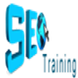 SEO Training in Delhi