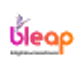 Bleap Digital Marketing