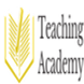 Teaching Academy