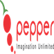 Pepper Designs Pvt Ltd
