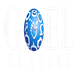 Goel Classes