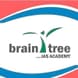 Brain Tree