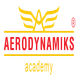 Aerodynamiks Academy: Courses & Fees