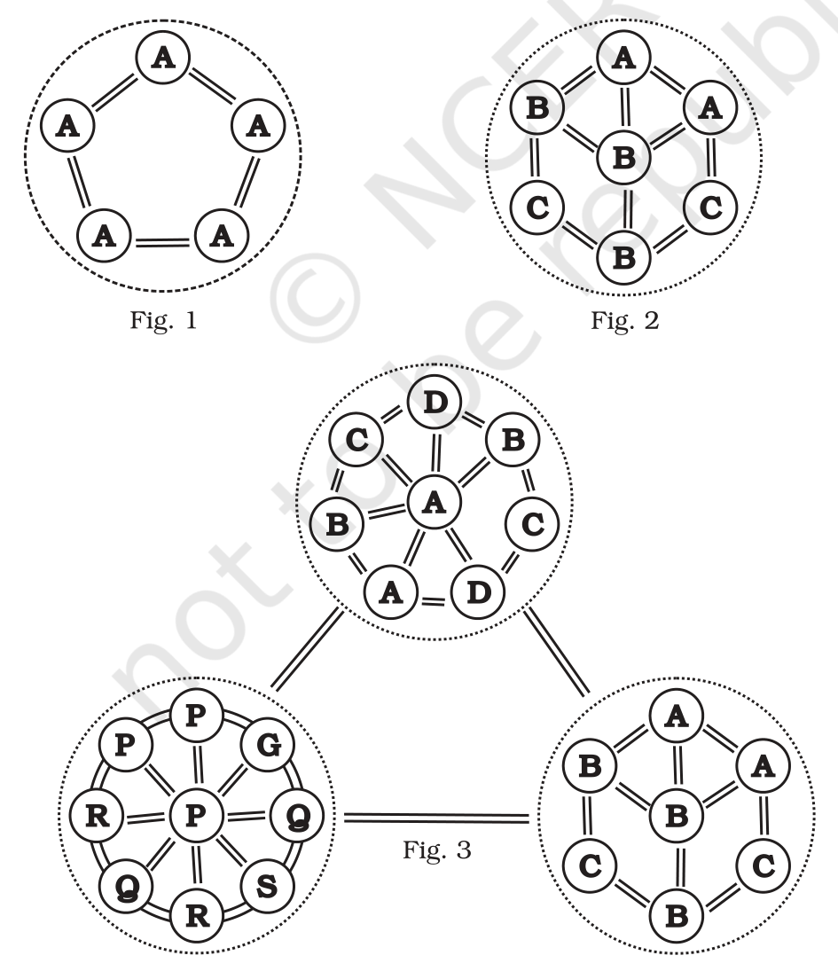 Figs. 1, 2 and 3 from NCERT Exemplar Class 12 Biology Chapter 13 — species-interaction diagrams.