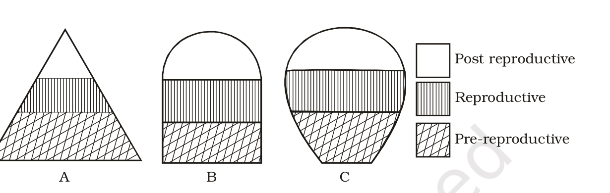 Three age pyramids A, B, C; NCERT Exemplar Class 12 Biology, Chapter 13.