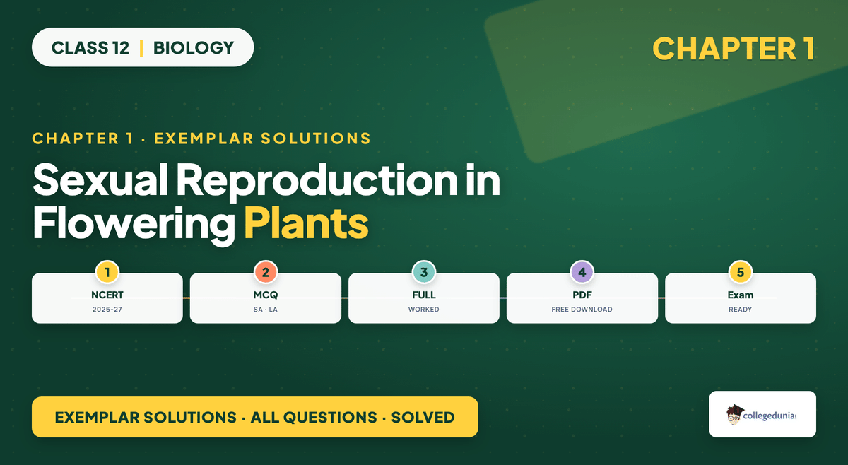 Sexual Reproduction in Flowering Plants NCERT Exemplar Solutions - Class 12 Biology